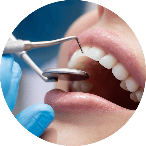 https://rj-tandarts.nl/wp-content/uploads/2026/09/dentist.png